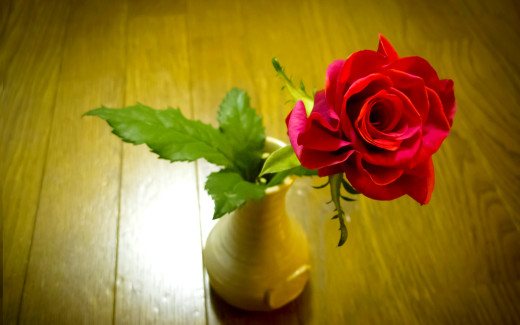444277 (a): :2560x1600